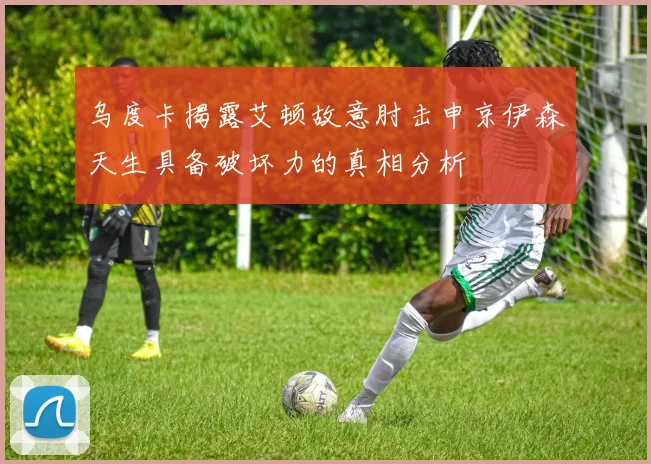 乌度卡揭露艾顿故意肘击申京伊森天生具备破坏力的真相分析